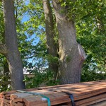 Ca. 60x Angelim Pedra Beschoeiingsplanken, 20x100mm, lengte 32/400cm 2